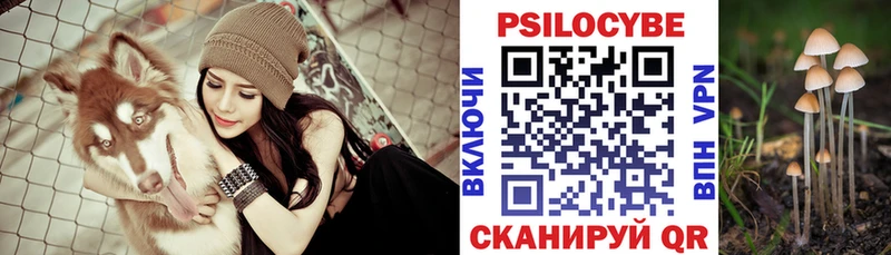 закладка  Саянск  Псилоцибиновые грибы ЛСД 
