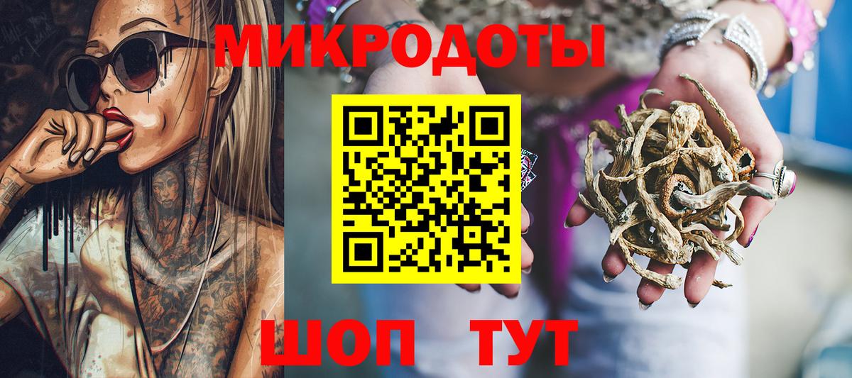 Галлюциногенные грибы Psilocybe Саянск