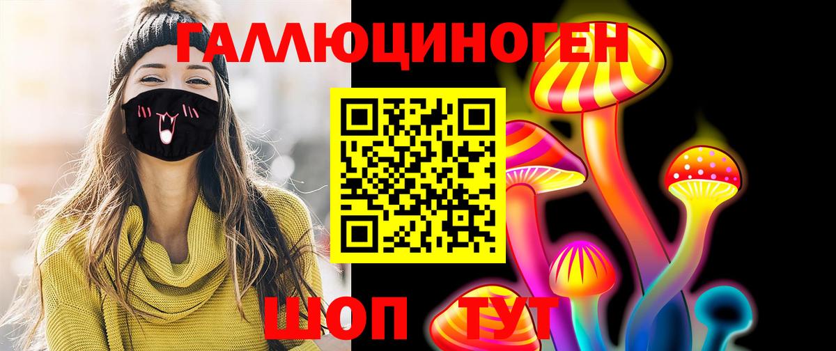 Псилоцибиновые грибы Cubensis  Вход с VPN  Саянск 